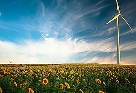 Wandrad mit Sonnenblumen