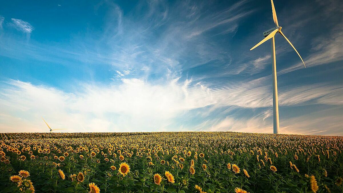 Wandrad mit Sonnenblumen