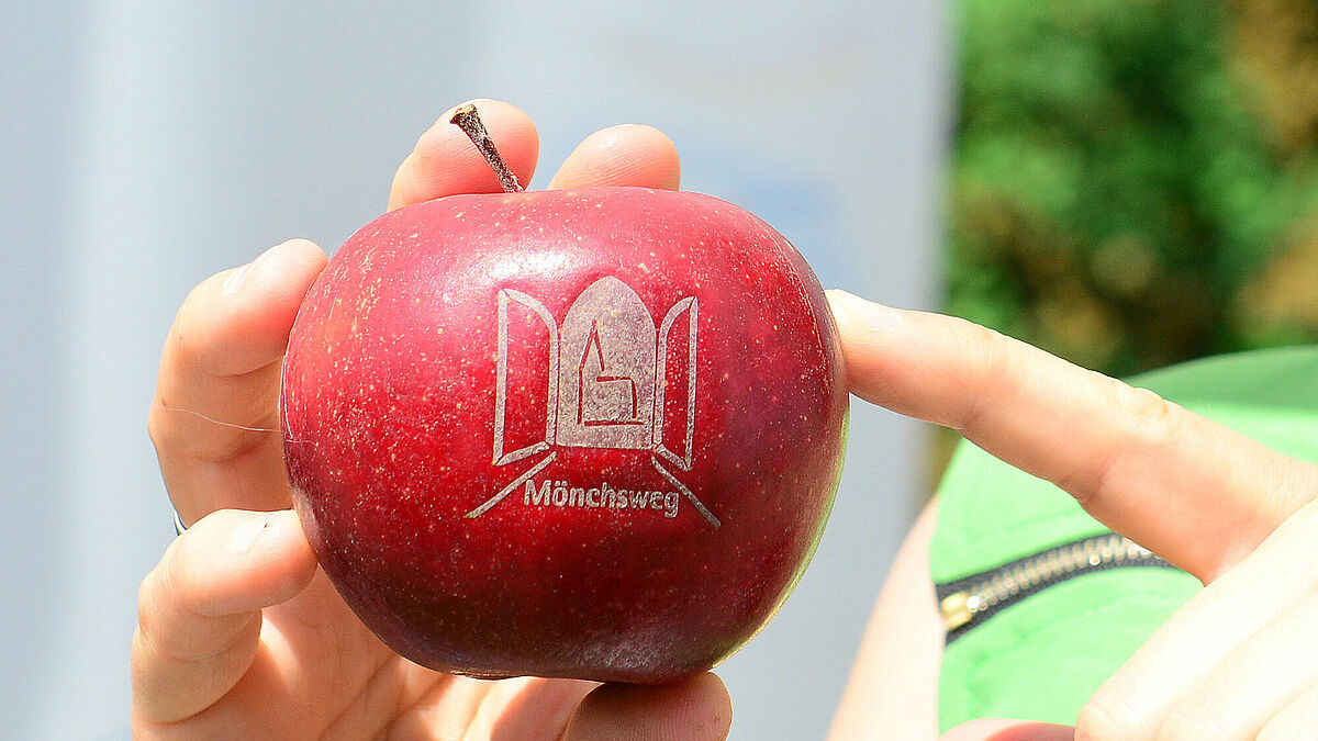 Apfel aus dem Alten Land mit Mönchsweg-Logo 