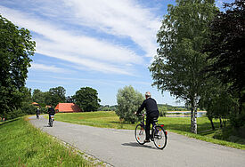 Radfahrer auf einem Deich in Niedersachsen.