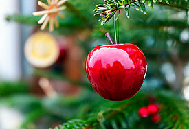 Rote Äpfel am Weihnachtsbaum erinnern an den Apfel aus dem Paradies.