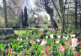 Pfarrgarten Starkow
