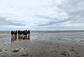 Pilgerwanderung durch das Watt, Gruppe im Watt