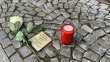 Stolperstein mit Rose und Kerze in Greifswald 