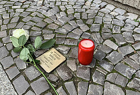 Stolperstein mit Rose und Kerze in Greifswald 
