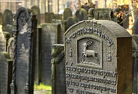 Der jüdische Friedhof Königstraße in Hamburg-Altona gilt als bedeutendes Kulturdenkmal des Judentums in Nordwesteuropa und zugleich als ein kostbares "Archiv aus Stein".