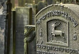 Jüdischer Friedhof Altona 