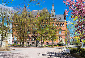 Rostock mit blühenden Bäumen