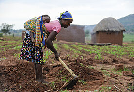 In Angola herrschte von 1975 bis 2002 ein blutiger Bürgerkrieg. Seine Folgen sind noch immer spürbar. In der Provinz Kwanza-Sul ist die Infrastruktur desolat, die Kindersterblichkeit hoch, viele Menschen haben nicht genug zu essen.