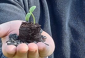 Der Synodale Pastor Jörg Jackisch mit Sonnenblumensprössling
