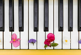 Blumen