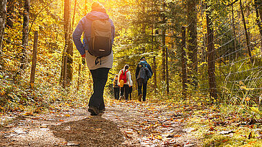Menschen mit Rucksäcken wandern auf einem Waldweg der untergehenden Sonne entgegen. Das Laub färbt sich langsam bunt.