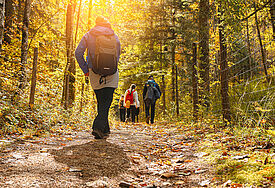 Menschen mit Rucksäcken wandern auf einem Waldweg der untergehenden Sonne entgegen. Das Laub färbt sich langsam bunt.