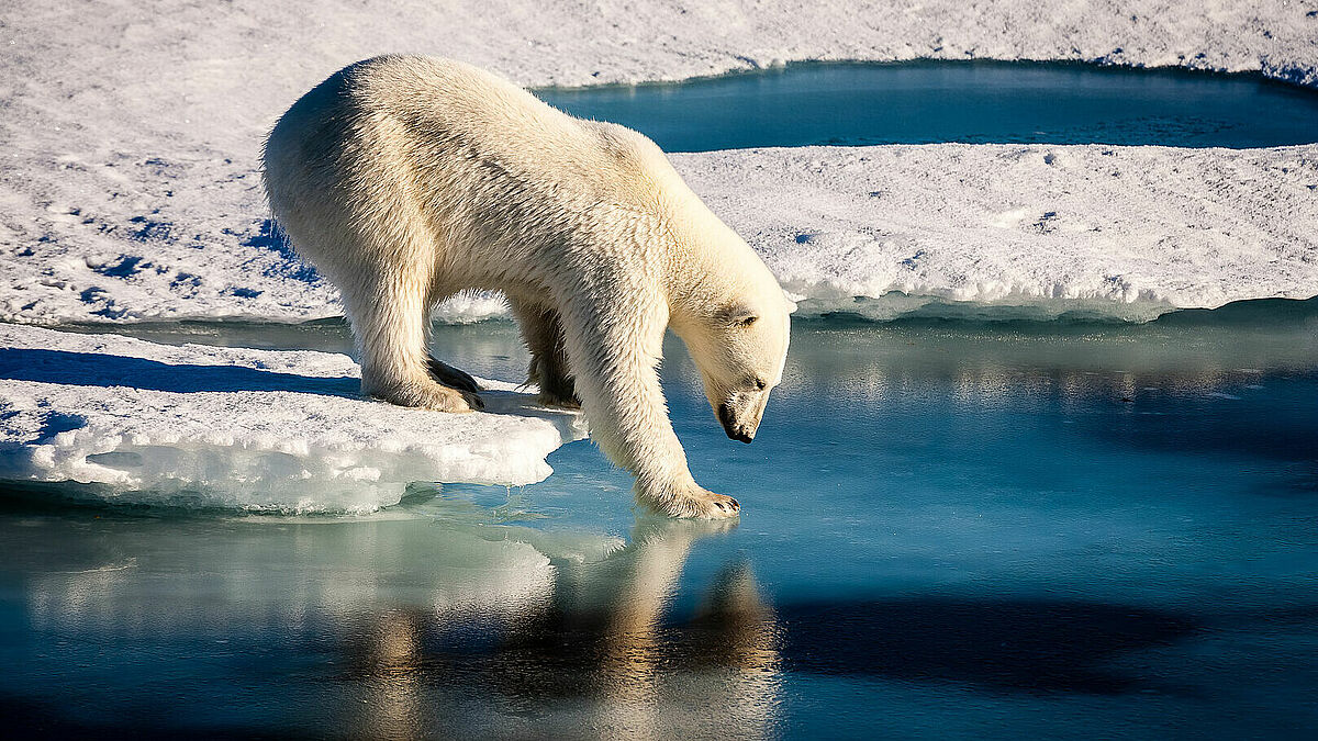 Hält das Eis noch? Klimawandel und -schutz stehen im Zentrum zahlreicher Veranstaltungen im Jubiläumsjahr.