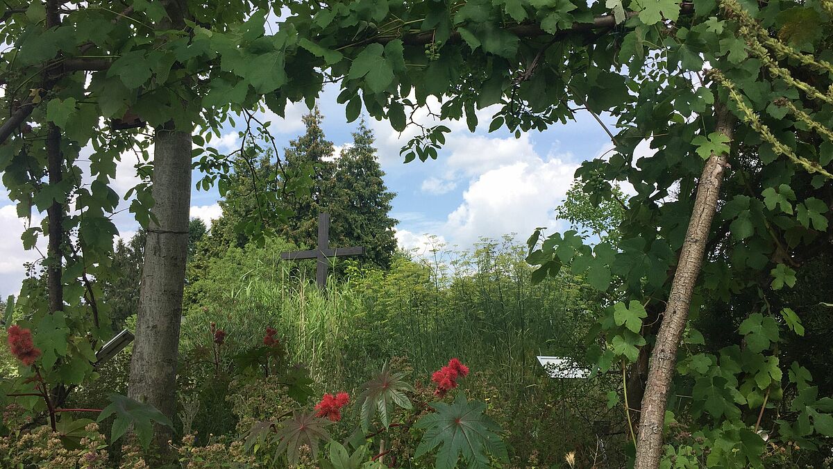 Blick in den Bibelgarten im Botanischen Garten Klein Flottbek
