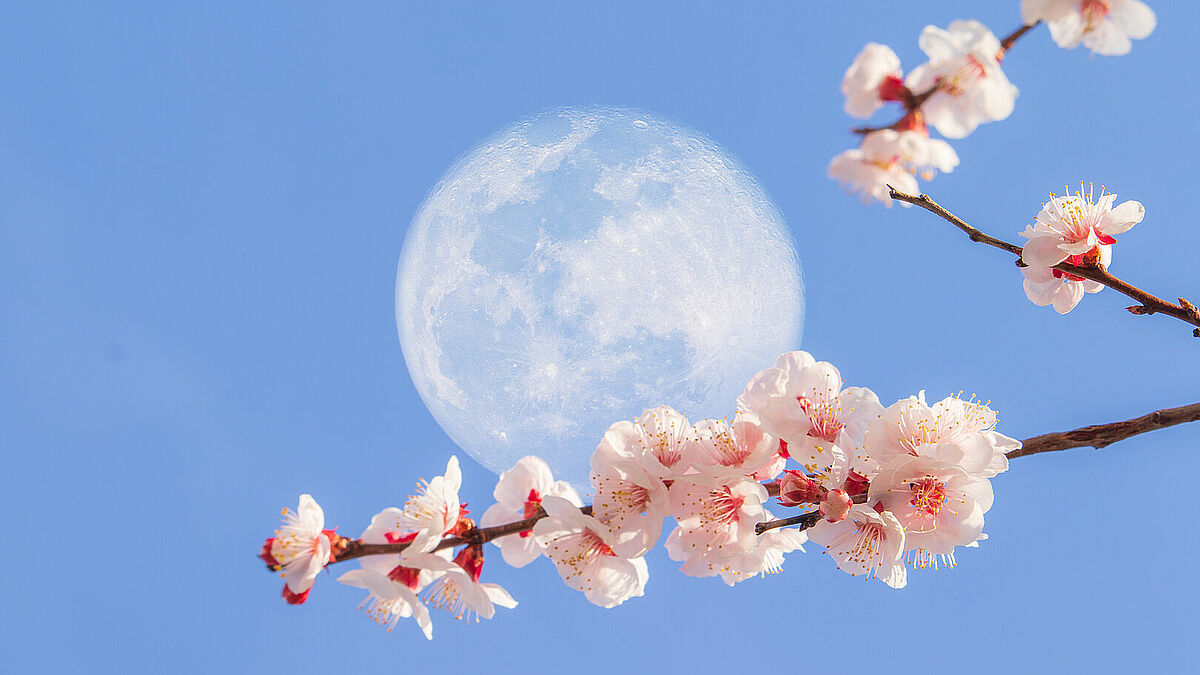 Ein gemeinsames Osterdatum entsteht, wenn der julianische Frühlingsvollmond in den gregorianischen April fällt.