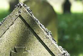 Ein Kriegsgrab auf dem Friedhof Hamburg 