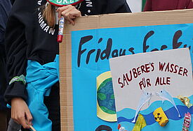 Fridays-for-Future-Plakat bei der Klimademo in Schwerin