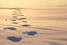 Spuren im Schnee