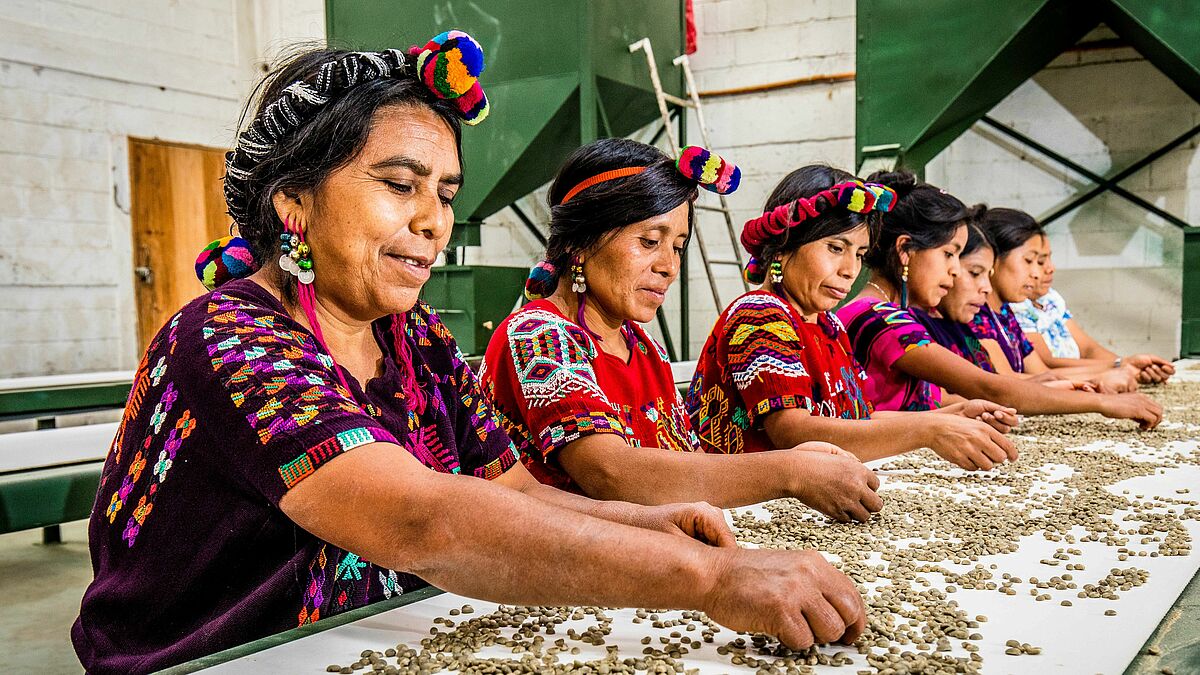 Unterstützt von Oikocredit: Mitarbeiterinnen des kleinbäuerlichen Verbandes Chajuli in Guatemala sortieren Kaffeebohnen