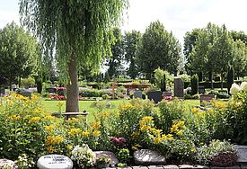 Blick auf das Friedhofsgelände in Wilster