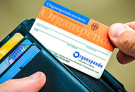 Ein Papier, das Leben rettet: Zu wenig Deutsche haben einen Organspendeausweis