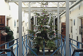 Ein kleines Stück Weihnachten: Tannenbaum in einem Gefängnis