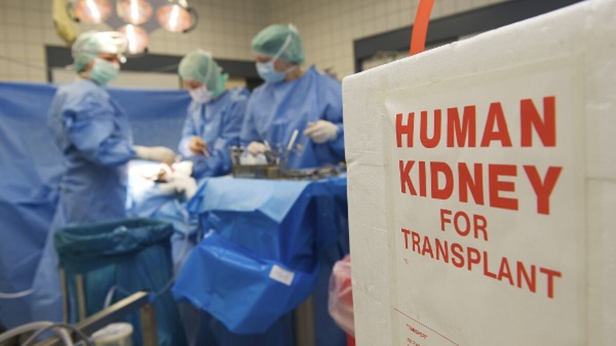 Fortbildungen zu Fragen wie Patientenverfügungen und Organspenden sollen Angeboten werden (Symbolbild).