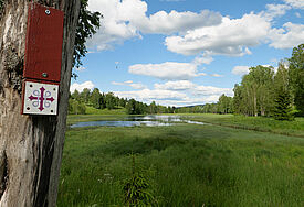 Ein Wegweiser für den Olavsweg hängt an einem Baum, ein rotes Kreuz auf weißem Grund. Im Hintergrund liegt idyllisch zwischen Wiesen und Wald ein See.