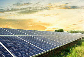 Photovoltaikplatten auf Feld 
