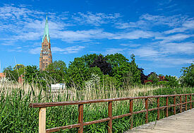 Der Dom in Schleswig aus der Ferne, im Vordergrund ein Holzbrücke und Schilf.
