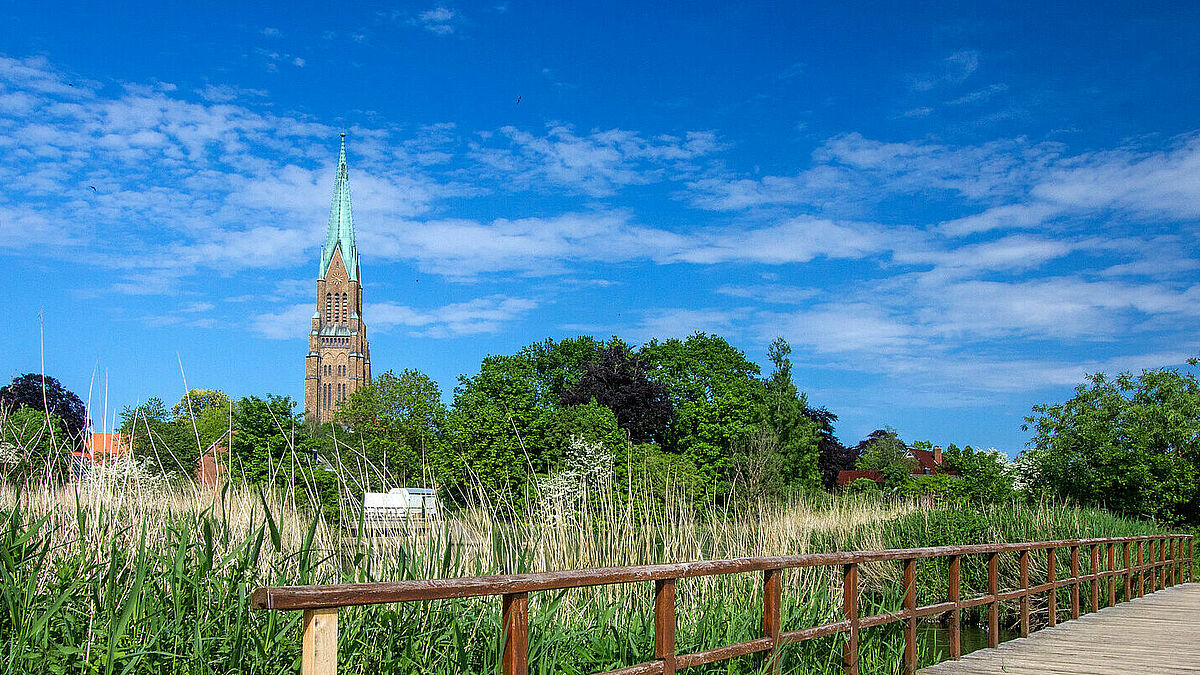 Der Schleswiger Dom