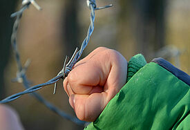Stacheldraht und Kinderhand
