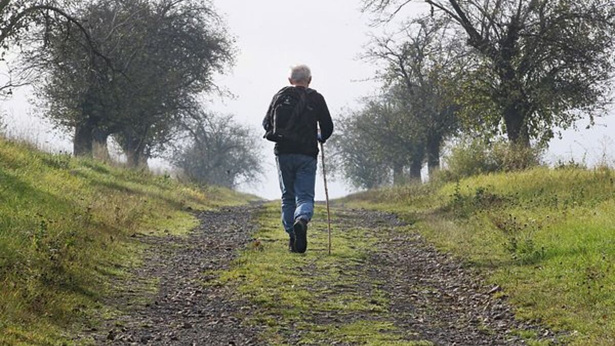 Unterwegs sein, Neues entdecken und vielleicht auch eine neue Perspektive zu Gewohntem einnehmen - die Motivation für Pilger ist vielfältig