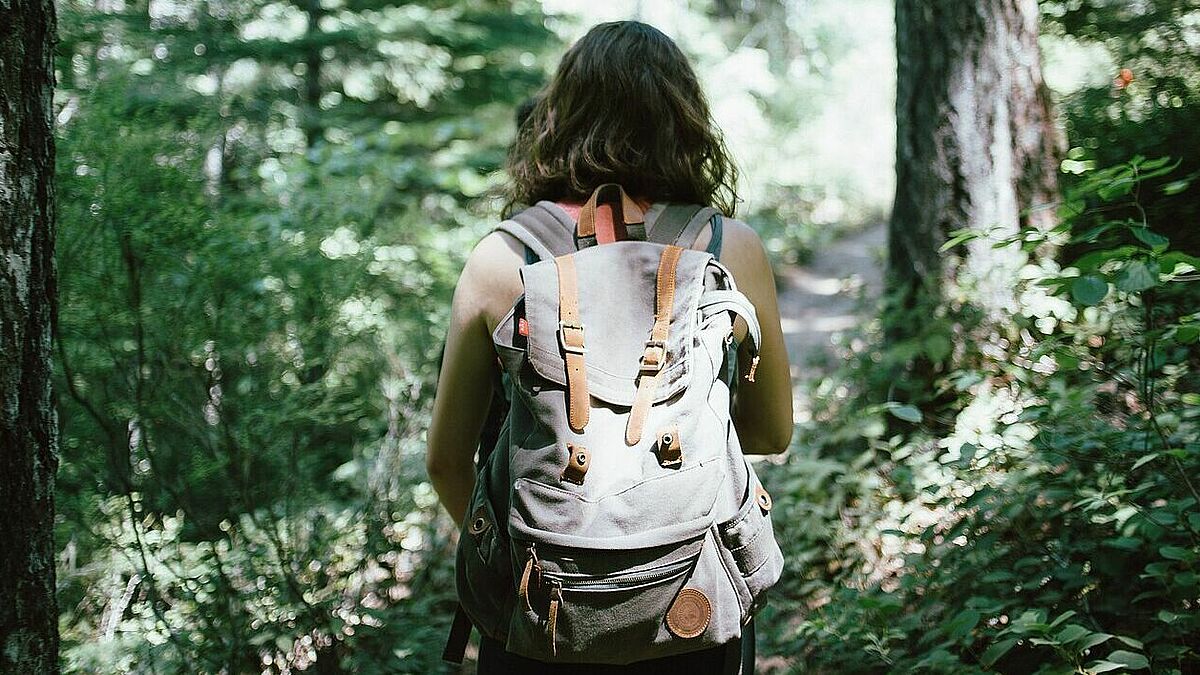 Spaziergänge im Wald hellen die Stimmung auf. Wer möchte, kann sich vorab Pilgerimpulse geben lassen und anschließend seine Erlebnisse teilen. 