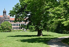 Schlosspark Eutin