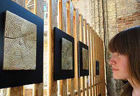 In ganz MV zeigen Künstler ihre Werke