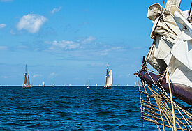 Windjammer auf der Hansesail in Rostock.