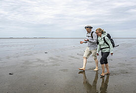 Bischof Gothart Magaard und seine Nachfolgerin, Pastorin Nora Steen, beim Pilgern durch das Wattenmeer