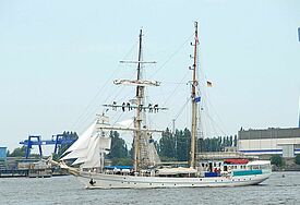Das Segelschulschiff Greif