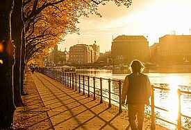 Herbst an der Hamburger Alster. Bunte Blätter leuchten in der untergehenden Sonne vor den Häusern der Innenstadt.