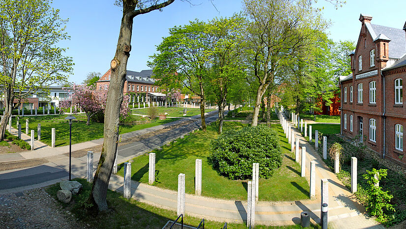 Blick aufs Gelände mit Fischauge, in der Mitte ein Weg, rechts angeschnitten ein Backsteingebäude, links hinten in der Ferne weitere Gebäude, alles sehr grün
