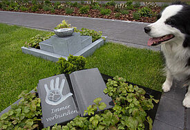 So sieht ein Mustergrab auf dem Friedhof "Unser Hafen" aus.  Hunde dürfen hier gemeinsam mit ihrem Herrchen bestattet werden