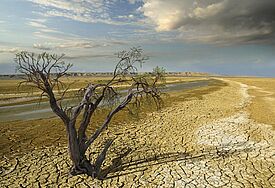 Der Klimawandel hat unter anderem Starkregen und Dürren zur Folge.  Das hat Auswirkungen besonders in armen Ländern: Ernten gehen verloren, Häuser und Felder werden zerstört, manche Gebiete werden unbewohnbar (Symbolbild)