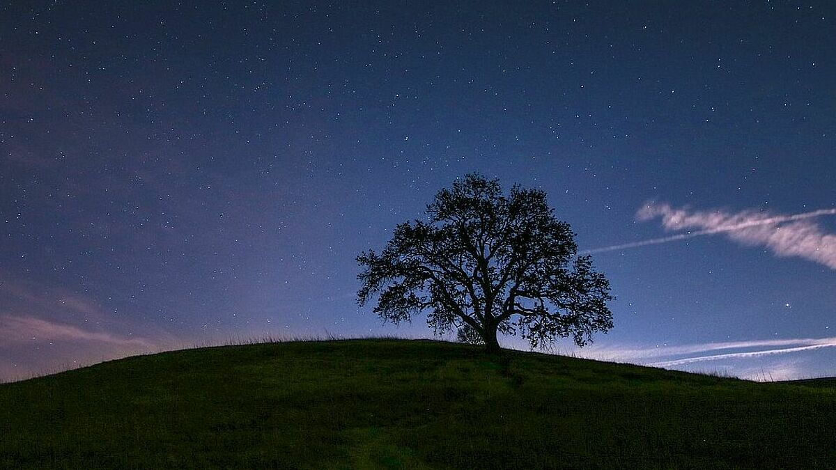 Sternenkinder erhielten viele Jahre lang keine  Bestattung. Dass dies nun möglich ist, geht auf Elterninitiativen zurück, die sich – oft mit kirchlicher Unterstützung – für einen würdevollen Umgang mit ihnen einsetzen. 