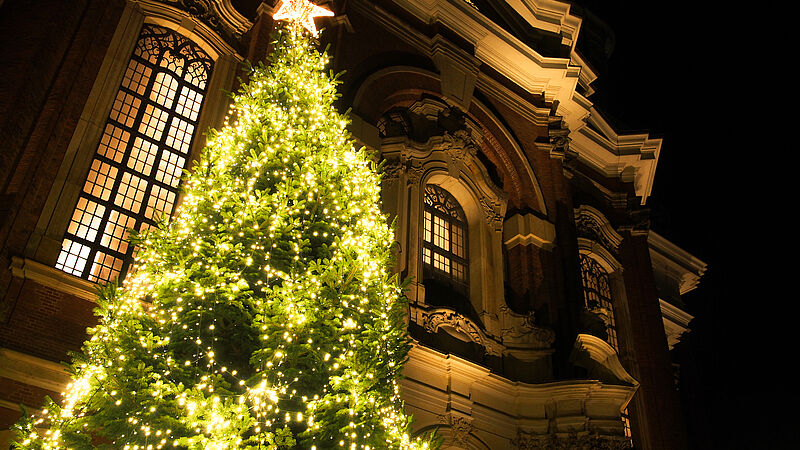 Der Weihnachtsbaum vorm Michel ist festlich beleuchtet.