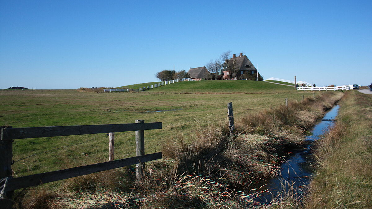Blick auf die Kirchwarft der Hallig Hooge
