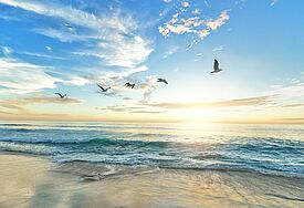 Strand mit ganz viel Licht, Wolken, fliegende Möwen