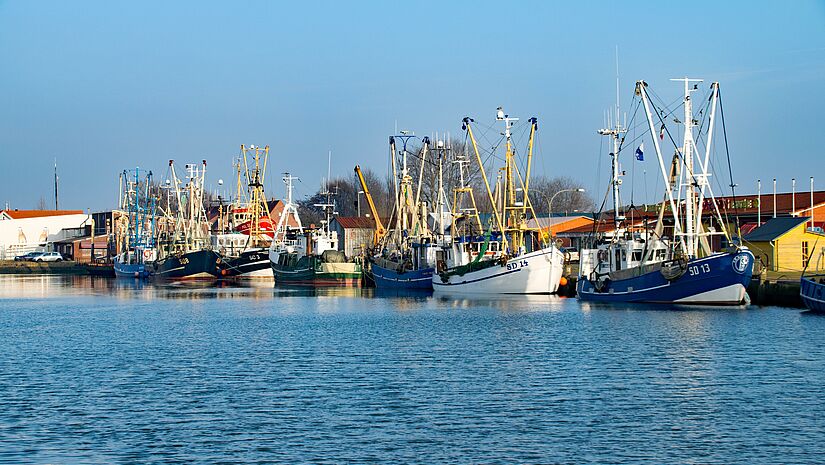Fischerboote liegen im Hafen von Büsum.