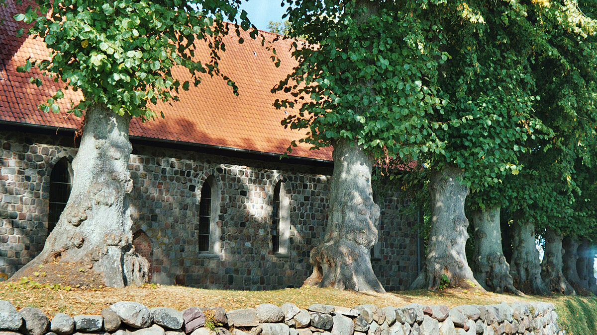 Die Feldsteinmauer der St.-Claren-Kirche in Blekendorf ist intakt. Sorgenkind der evangelischen Gemeinde im Kirchenkreis Plön-Segeberg ist der 55 Meter hohe Turm mit seinen feuchten Dachsparren